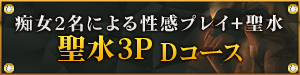 3P Dコース